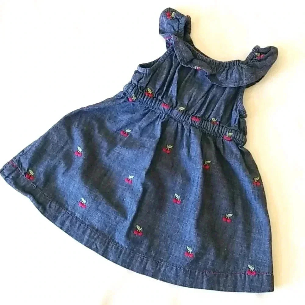 Cherry and Chambray Gymboree Dress - Picture 4 of 4